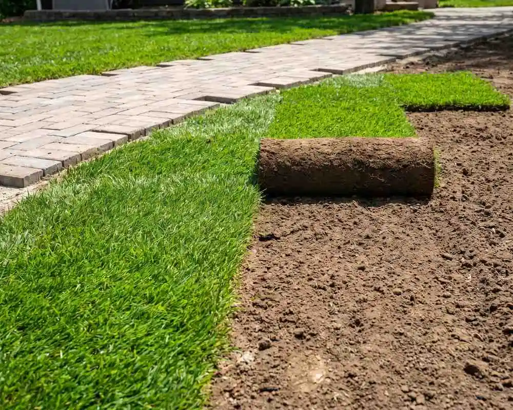 Frissen fektetett gyepszőnyeg és térkövezett járda